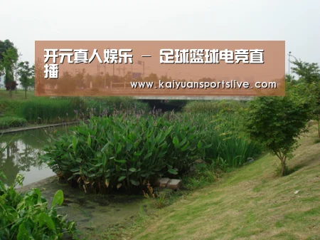案例展示四(图1)