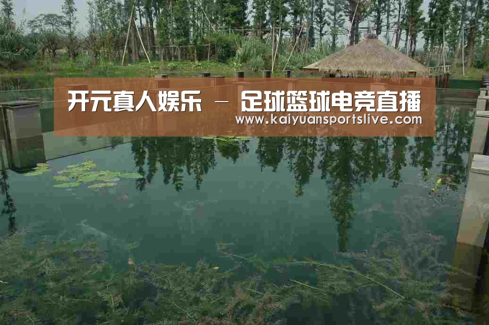 案例展示二(图1)