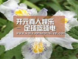产品名称二