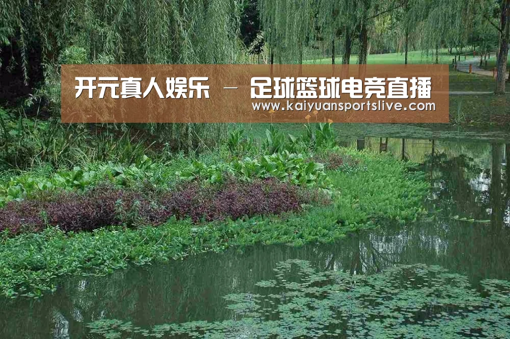 案例展示一