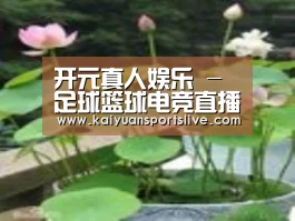 产品名称一