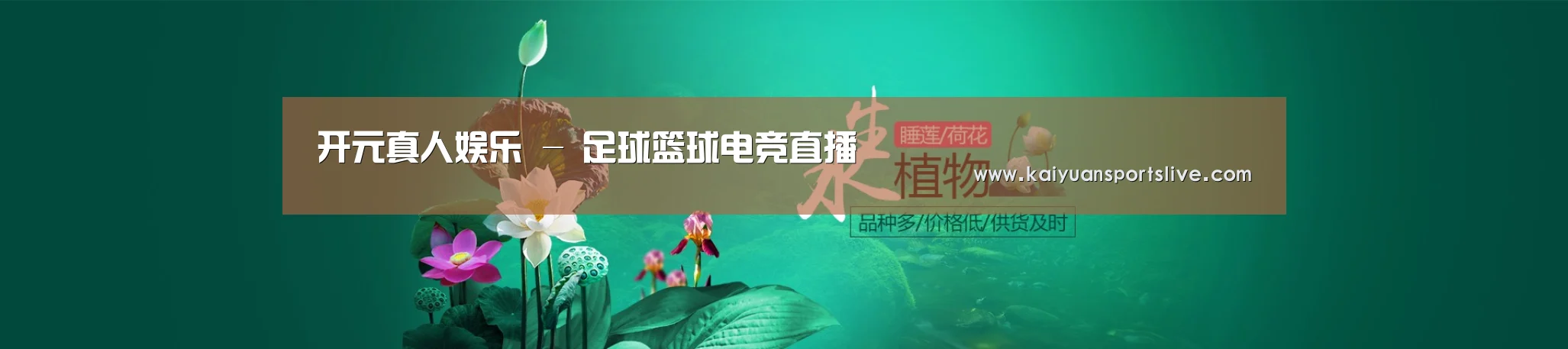 鲜花水草花卉网站模板