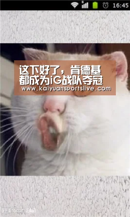 开元直播