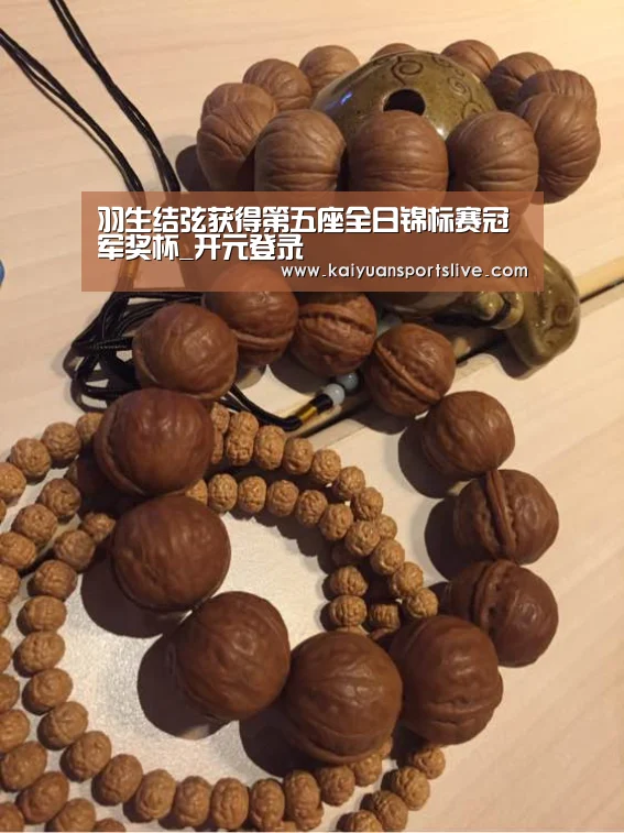 开元登录