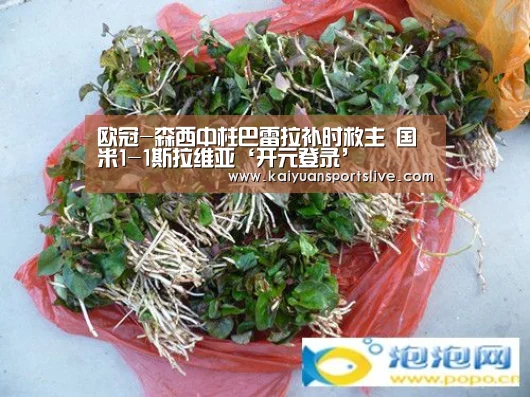 欧冠-森西中柱巴雷拉补时救主 国米1-1斯拉维亚‘开元登录’(图1) 开元直播