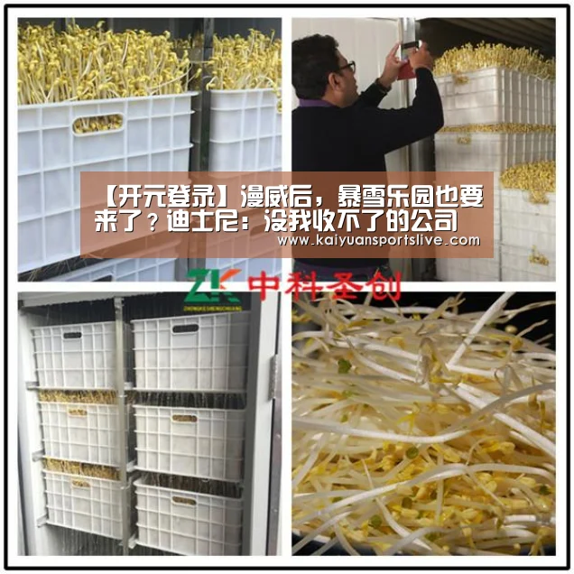 开元登录