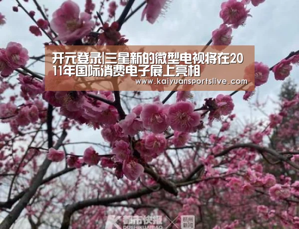 开元登录|三星新的微型电视将在2011年国际消费电子展上亮相(图1) 开元竞猜