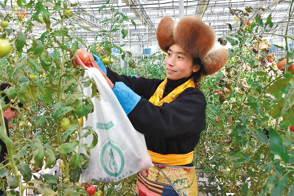 【开元登录】部落冲突爆料:商人28种出售物品提前曝光(图3) 开元登录