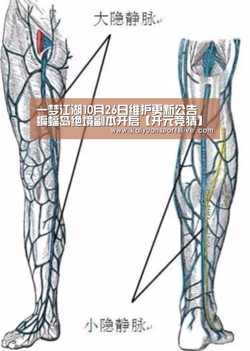 开元登录