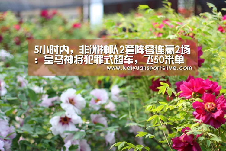 5小时内,非洲神队2套阵容连赢2场:皇马神将犯罪式超车,飞50米单刀爆射!-开元直播(图4) 开元棋牌